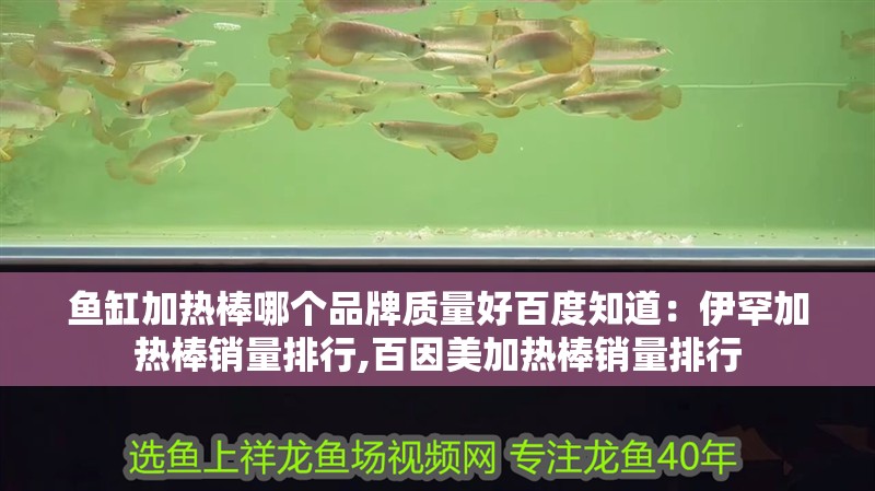 魚缸加熱棒哪個品牌質量好百度知道：伊罕加熱棒銷量排行,百因美加熱棒銷量排行