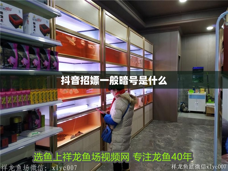 抖音招嫖一般暗號是什么