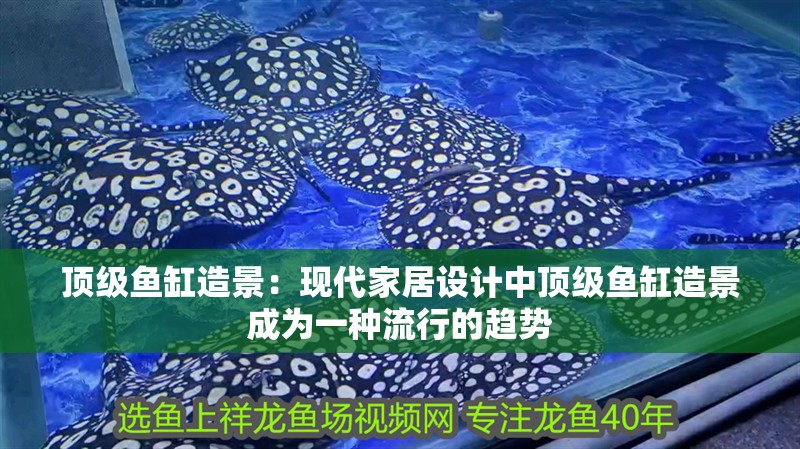 我的虎魚真菌感染了要怎么處理 頂級魚缸造景:現代家居設計中頂級魚缸造景成為一種流行的趨勢 魚缸百科 頂級魚缸造景:現代家居設計中頂級魚缸造景成為一種流行的趨勢 頂級魚缸造景:現代家居設計中頂級魚缸造景成為一種流行的趨勢 魚缸百科