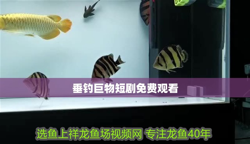 垂釣巨物短劇免費觀看