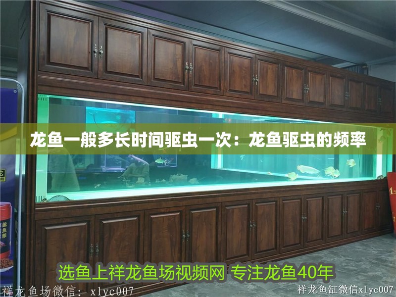 龍魚一般多長時間驅蟲一次：龍魚驅蟲的頻率 龍魚一般多長時間驅蟲一次：龍魚驅蟲的頻率 龍魚百科