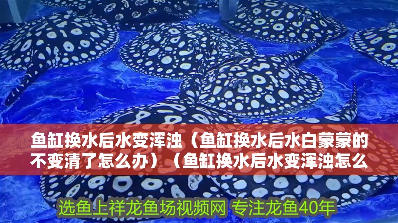 魚缸換水后水變渾濁（魚缸換水后水白蒙蒙的不變清了怎么辦）（魚缸換水后水變渾濁怎么辦） 魚缸換水后水變渾濁（魚缸換水后水白蒙蒙的不變清了怎么辦）（魚缸換水后水變渾濁怎么辦） 魚缸百科