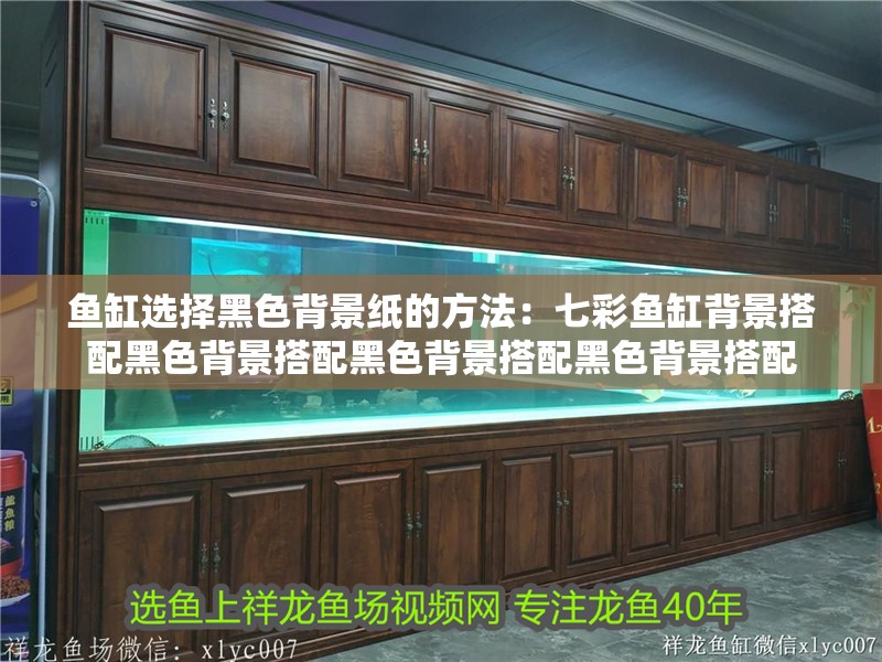 魚缸選擇黑色背景紙的方法：七彩魚缸背景搭配黑色背景搭配黑色背景搭配黑色背景搭配