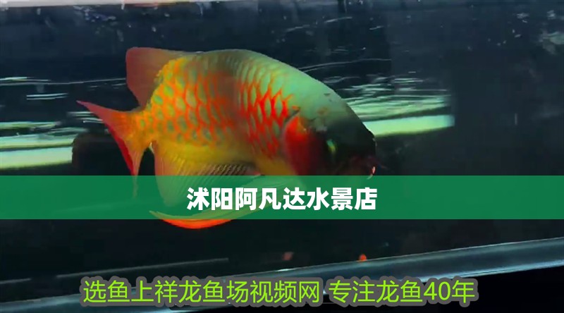 沭陽阿凡達水景店
