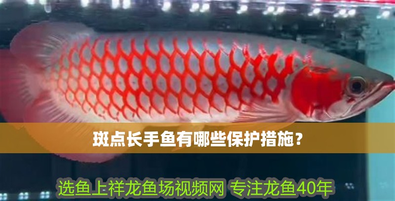 斑點長手魚有哪些保護措施？