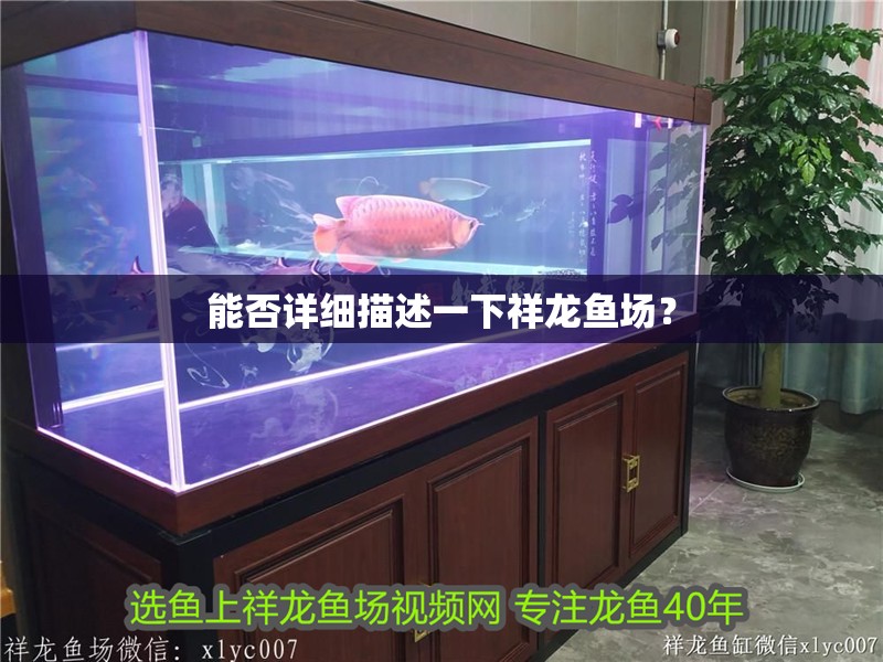 能否詳細描述一下祥龍魚場？