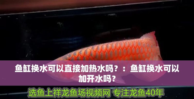 魚缸換水可以直接加熱水嗎？：魚缸換水可以加開水嗎？ 魚缸換水可以直接加熱水嗎？：魚缸換水可以加開水嗎？ 魚缸百科