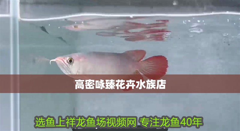 高密詠臻花卉水族店