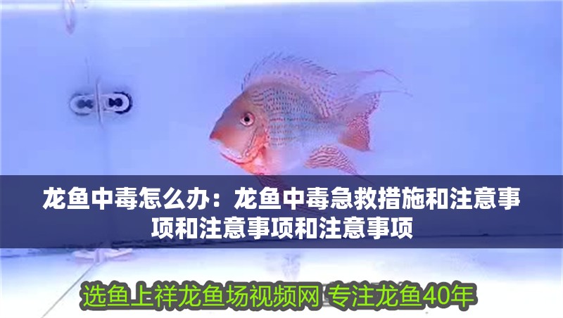 龍魚中毒怎么辦：龍魚中毒急救措施和注意事項和注意事項和注意事項