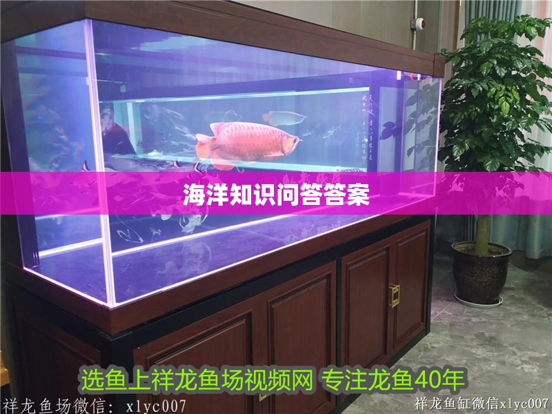 海洋知識問答答案
