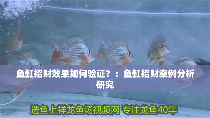 魚(yú)缸招財(cái)效果如何驗(yàn)證？：魚(yú)缸招財(cái)案例分析研究