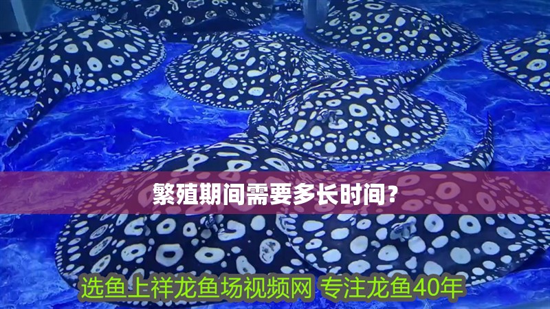 繁殖期間需要多長時間？