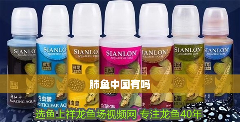 魚缸過濾器選購指南:自制魚缸過濾器魚缸上置過濾器對于養魚愛好者的必備知識 肺魚中國有嗎 龍魚論壇 肺魚中國有嗎 肺魚中國有嗎 龍魚論壇