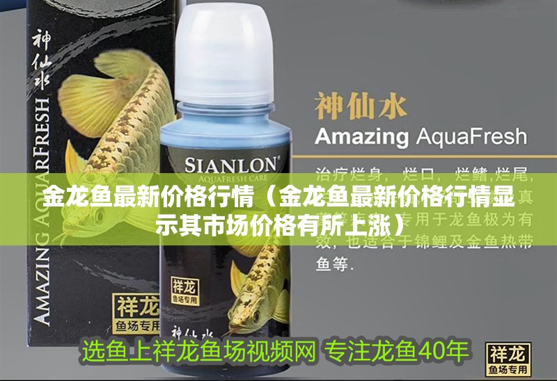 金龍魚最新價格行情（金龍魚最新價格行情顯示其市場價格有所上漲）
