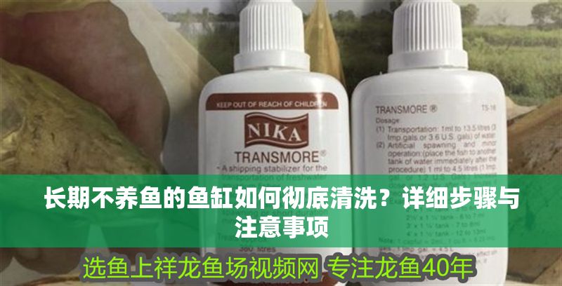 長期不養魚的魚缸如何徹底清洗？詳細步驟與注意事項 長期不養魚的魚缸如何徹底清洗？詳細步驟與注意事項 龍魚百科 第1張