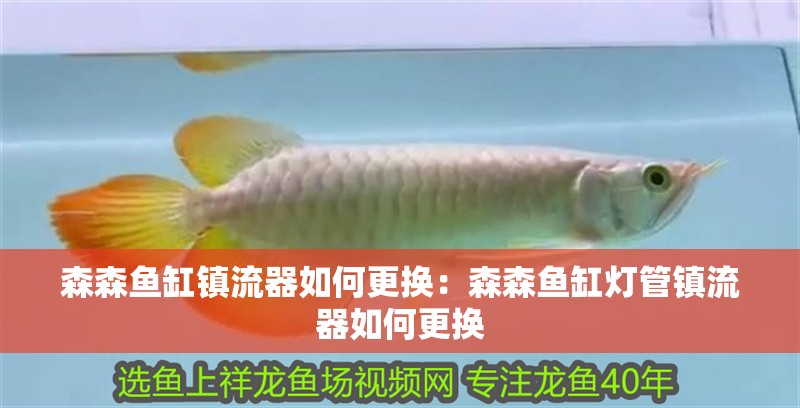 森森魚缸鎮(zhèn)流器如何更換：森森魚缸燈管鎮(zhèn)流器如何更換