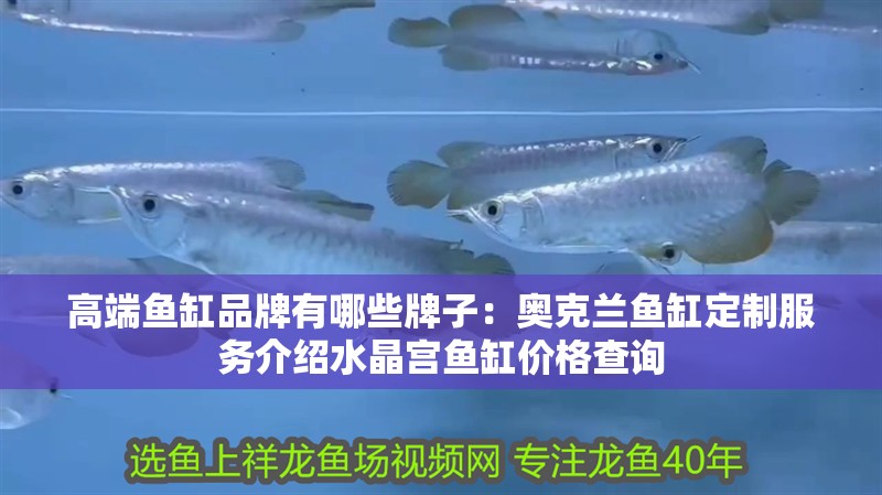 高端魚缸品牌有哪些牌子：奧克蘭魚缸定制服務介紹水晶宮魚缸價格查詢