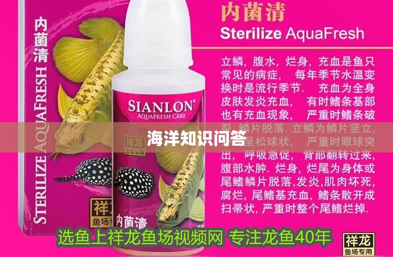 海洋知識問答 海洋知識問答 龍魚論壇