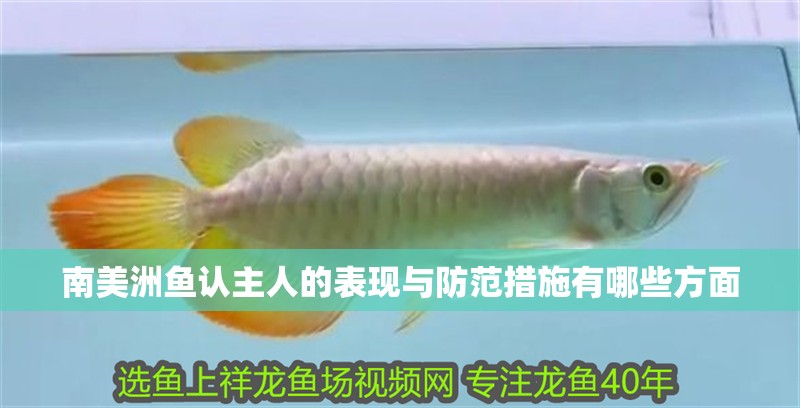 南美洲魚認主人的表現與防范措施有哪些方面