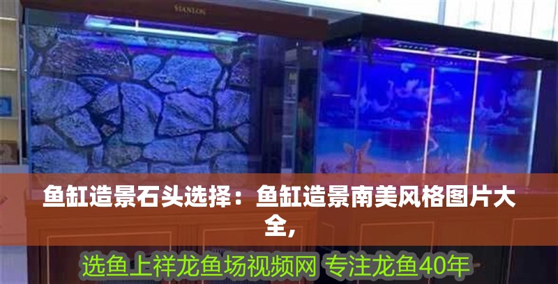 魚缸造景石頭選擇：魚缸造景南美風格圖片大全,