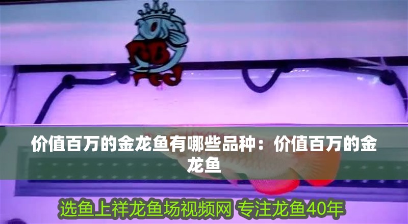 價值百萬的金龍魚有哪些品種：價值百萬的金龍魚
