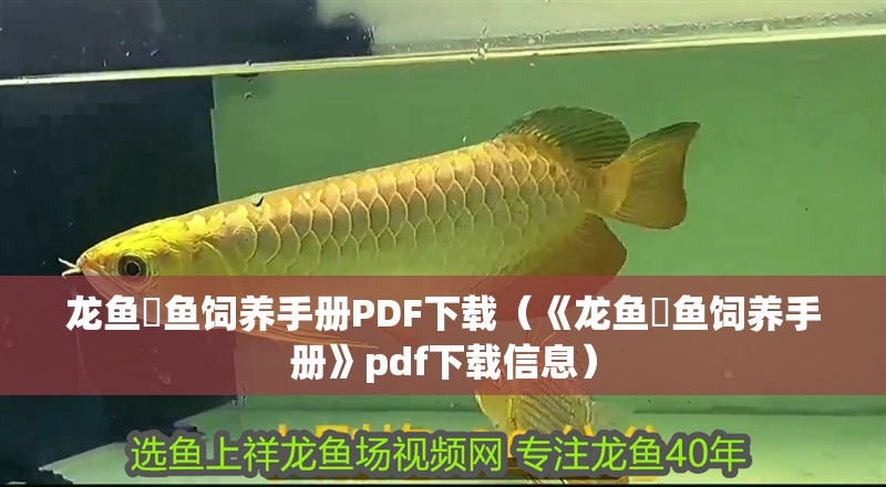 龍魚魟魚飼養手冊PDF下載（《龍魚魟魚飼養手冊》pdf下載信息） 龍魚魟魚飼養手冊PDF下載（《龍魚魟魚飼養手冊》pdf下載信息） 龍魚百科