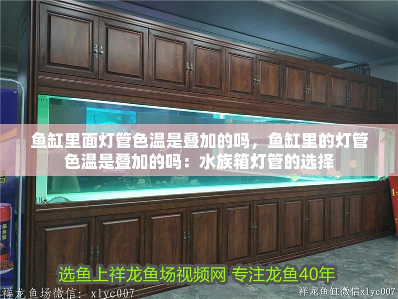 魚缸里面燈管色溫是疊加的嗎，魚缸里的燈管色溫是疊加的嗎：水族箱燈管的選擇 魚缸里面燈管色溫是疊加的嗎，魚缸里的燈管色溫是疊加的嗎：水族箱燈管的選擇 魚缸百科