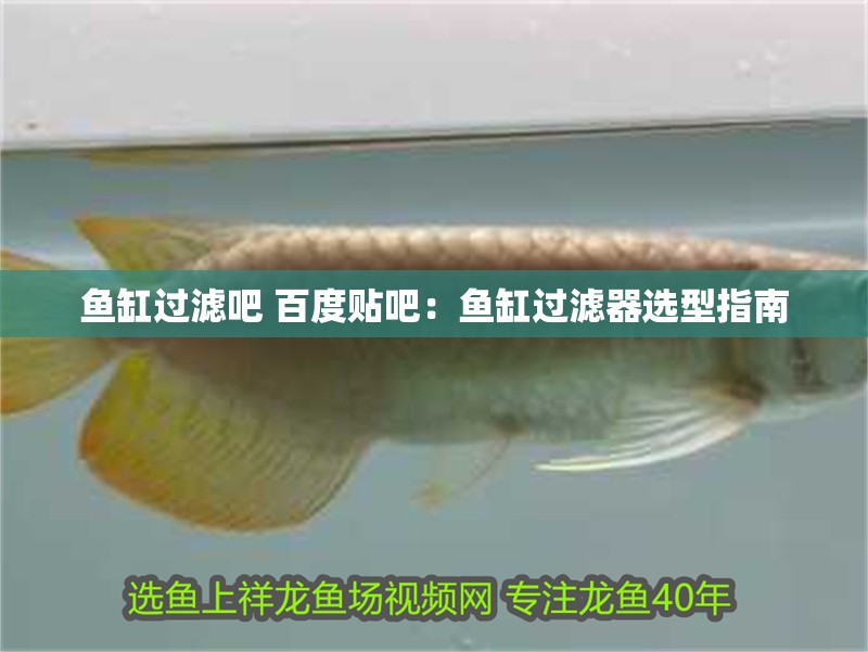 魚(yú)缸過(guò)濾吧 百度貼吧：魚(yú)缸過(guò)濾器選型指南 魚(yú)缸過(guò)濾吧 百度貼吧：魚(yú)缸過(guò)濾器選型指南 魚(yú)缸百科