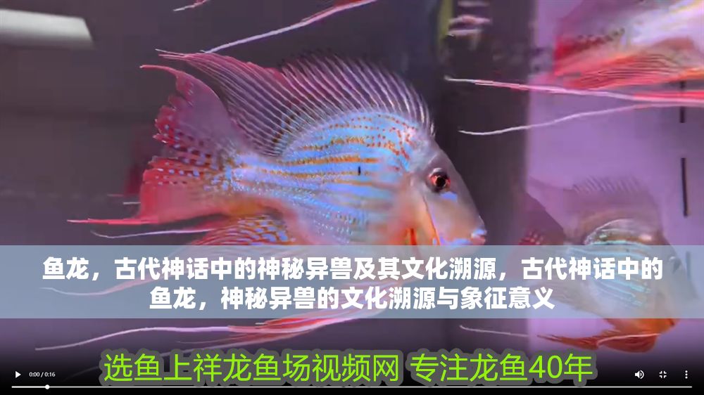 魚龍，古代神話中的神秘異獸及其文化溯源，古代神話中的魚龍，神秘異獸的文化溯源與象征意義