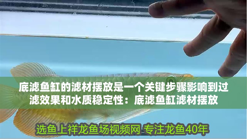 底濾魚缸的濾材擺放是一個關鍵步驟影響到過濾效果和水質穩定性：底濾魚缸濾材擺放