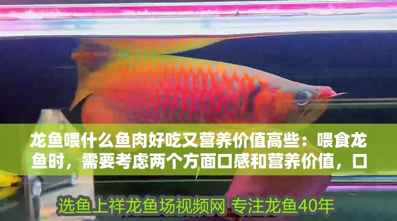 龍魚(yú)喂什么魚(yú)肉好吃又營(yíng)養(yǎng)價(jià)值高些：喂食龍魚(yú)時(shí)，需要考慮兩個(gè)方面口感和營(yíng)養(yǎng)價(jià)值，口感和營(yíng)養(yǎng)價(jià)值