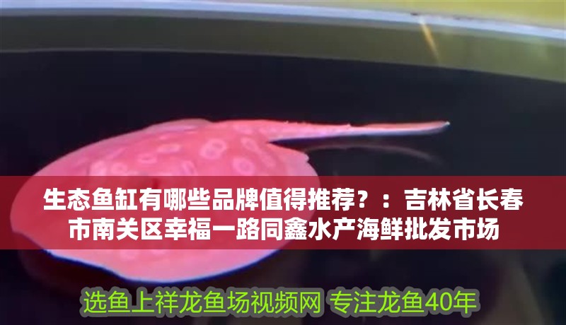 生態魚缸有哪些品牌值得推薦？：吉林省長春市南關區幸福一路同鑫水產海鮮批發市場
