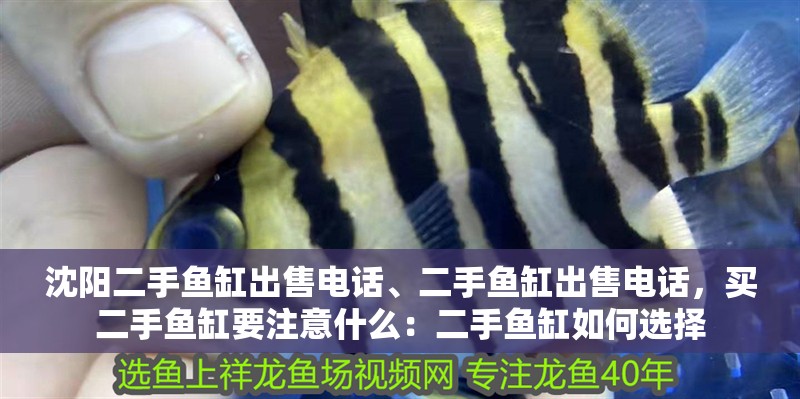 沈陽二手魚缸出售電話、二手魚缸出售電話，買二手魚缸要注意什么：二手魚缸如何選擇