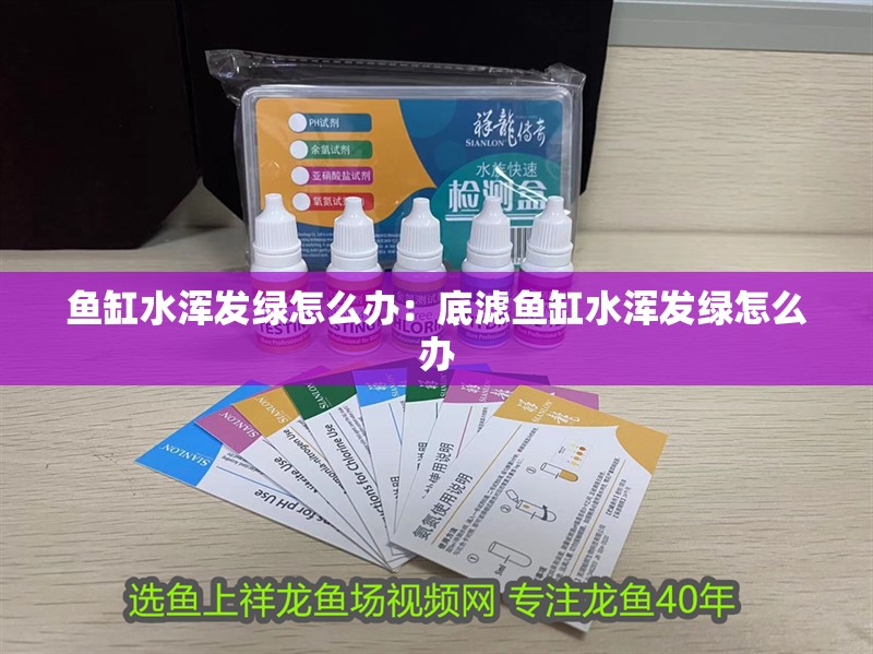 魚缸水渾發綠怎么辦：底濾魚缸水渾發綠怎么辦