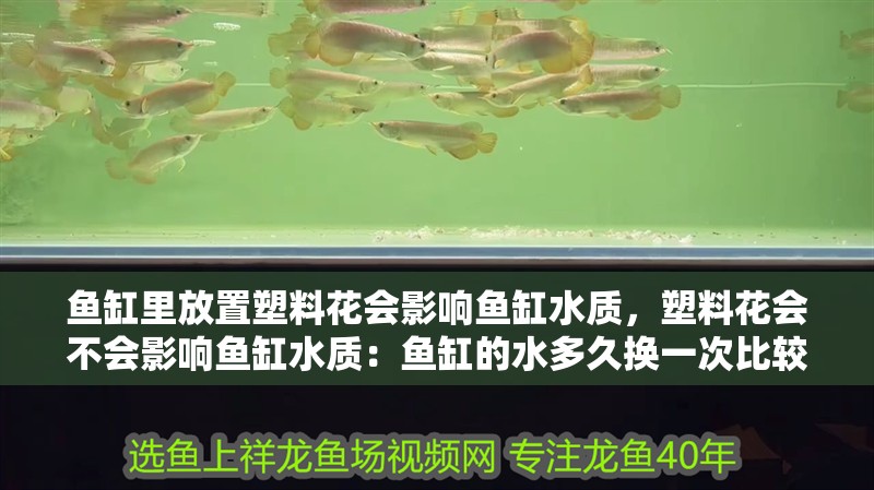 魚缸里放置塑料花會影響魚缸水質(zhì)，塑料花會不會影響魚缸水質(zhì)：魚缸的水多久換一次比較好？