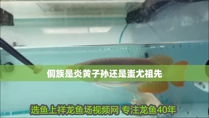 侗族是炎黃子孫還是蚩尤祖先