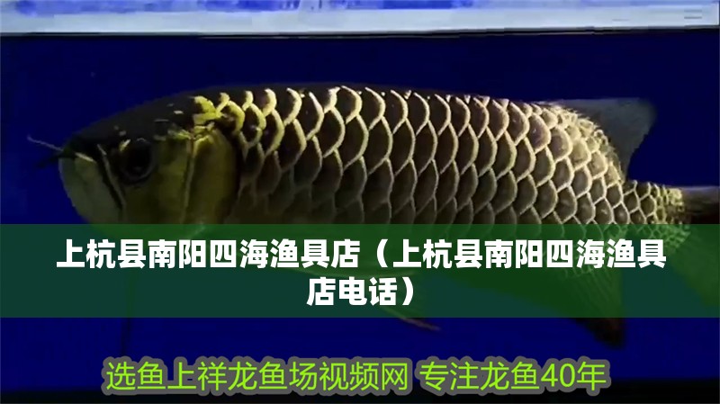 魚缸過濾器選購指南:自制魚缸過濾器魚缸上置過濾器對于養魚愛好者的必備知識 上杭縣南陽四海漁具店(上杭縣南陽四海漁具店電話) 全國水族館企業名錄 上杭縣南陽四海漁具店(上杭縣南陽四海漁具店電話) 上杭縣南陽四海漁具店(上杭縣南陽四海漁具店電話) 全國水族館企業名錄