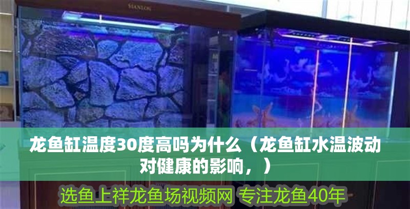 龍魚缸溫度30度高嗎為什么（龍魚缸水溫波動對健康的影響，）
