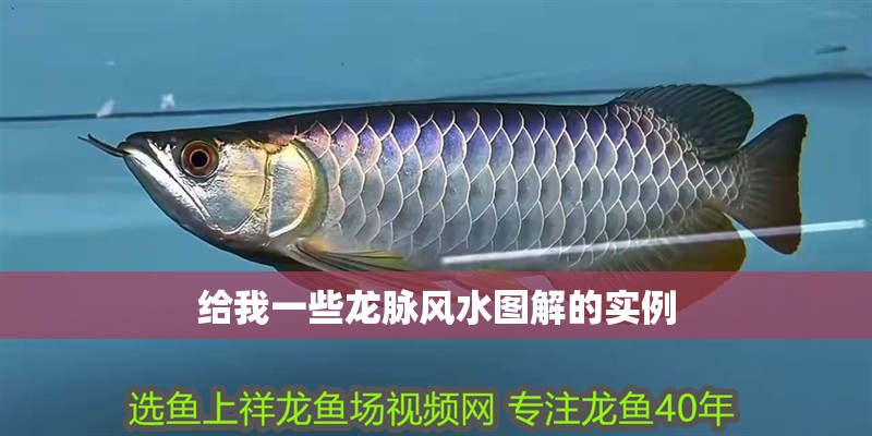 給我一些龍脈風(fēng)水圖解的實例