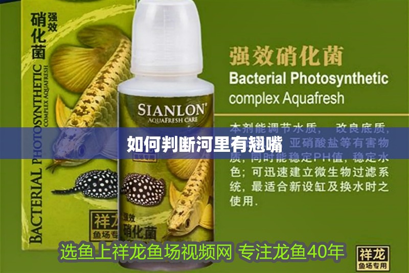 如何判斷河里有翹嘴