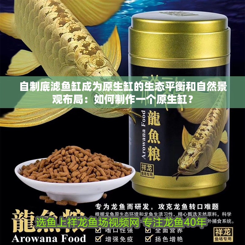 自制底濾魚缸成為原生缸的生態(tài)平衡和自然景觀布局：如何制作一個原生缸？ 自制底濾魚缸成為原生缸的生態(tài)平衡和自然景觀布局：如何制作一個原生缸？ 魚缸百科