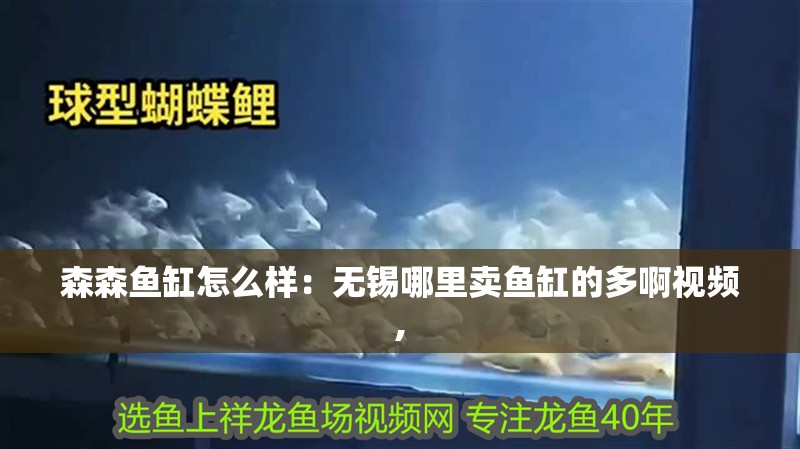 森森魚(yú)缸怎么樣：無(wú)錫哪里賣魚(yú)缸的多啊視頻,