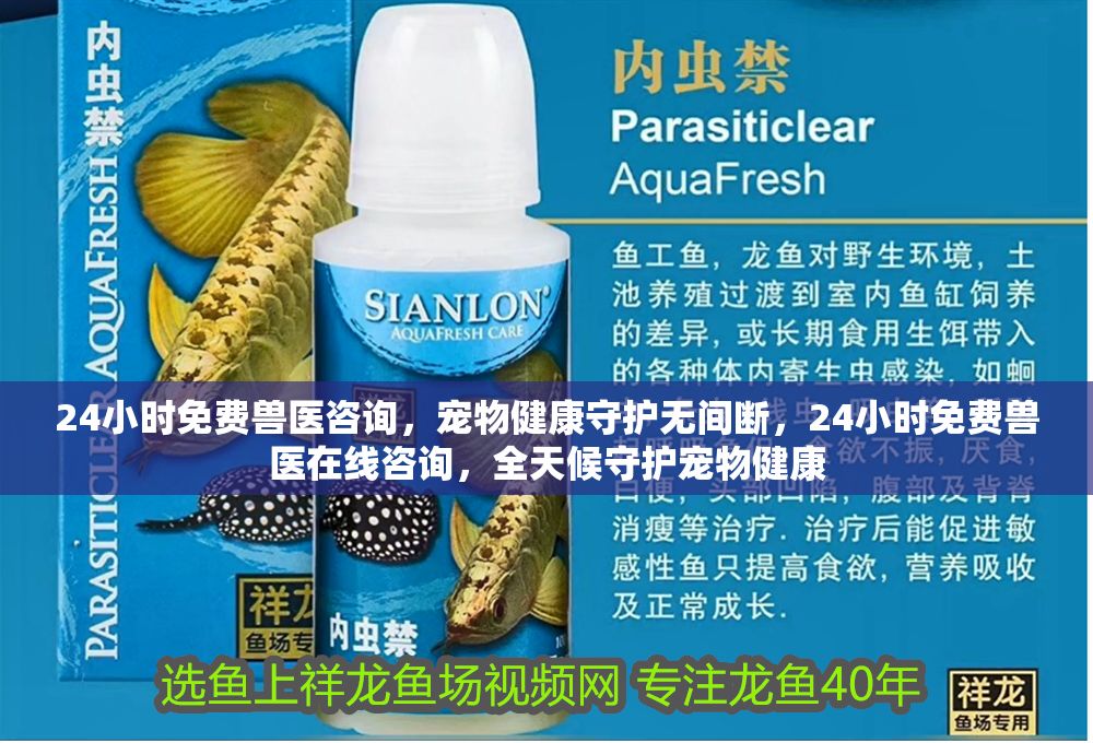 24小時免費獸醫(yī)咨詢，寵物健康守護無間斷，24小時免費獸醫(yī)在線咨詢，全天候守護寵物健康