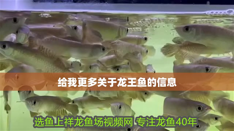 給我更多關于龍王魚的信息