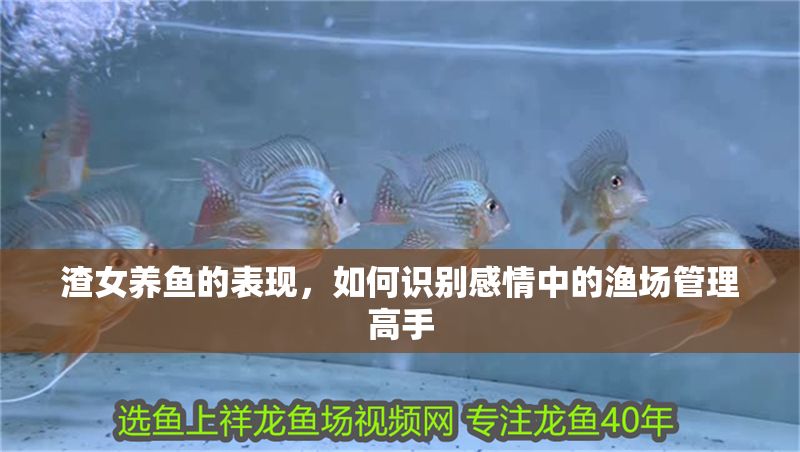 渣女養(yǎng)魚的表現(xiàn)，如何識(shí)別感情中的漁場(chǎng)管理高手