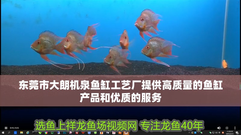 東莞市大朗機泉魚缸工藝廠提供高質量的魚缸產品和優質的服務