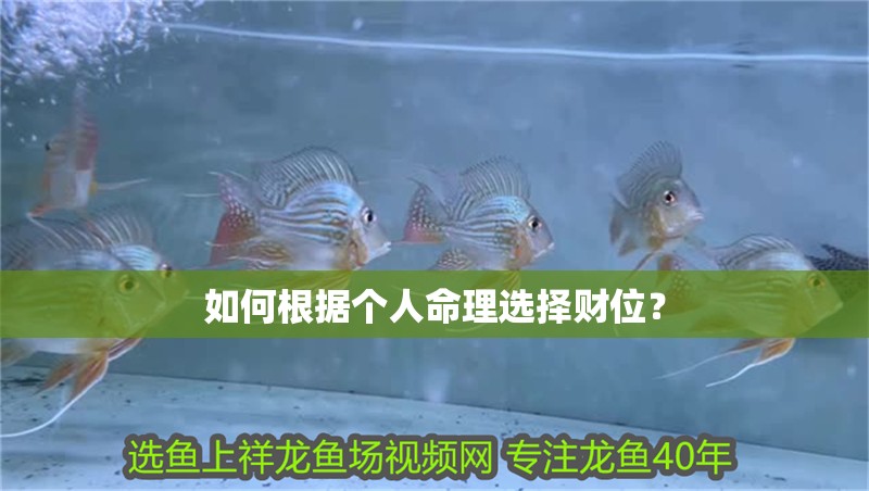 如何根據(jù)個人命理選擇財位？