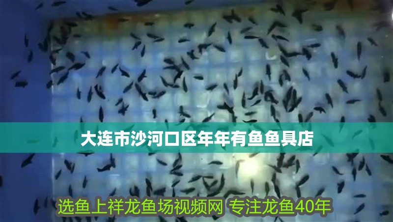 大連市沙河口區年年有魚魚具店