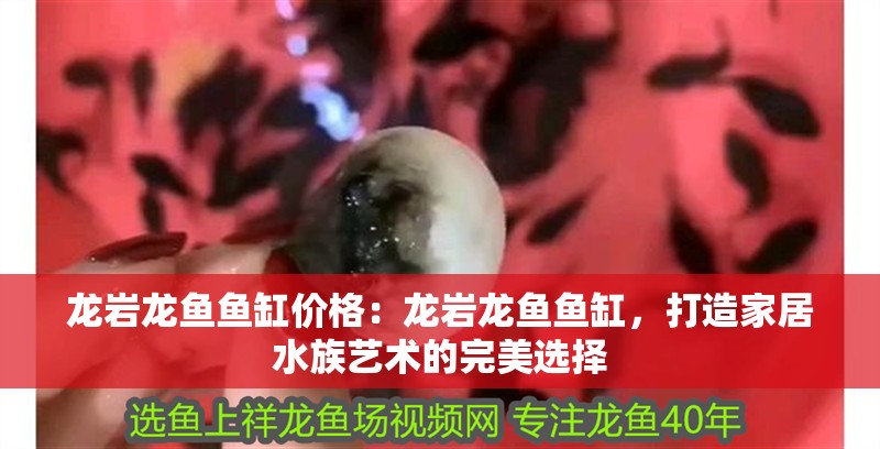 龍巖龍魚魚缸價格：龍巖龍魚魚缸，打造家居水族藝術的完美選擇