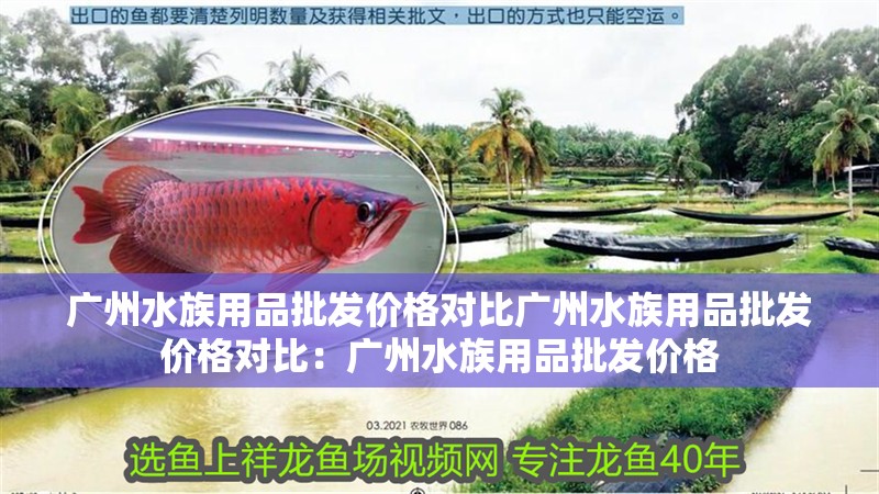 廣州水族用品批發(fā)價(jià)格對(duì)比廣州水族用品批發(fā)價(jià)格對(duì)比：廣州水族用品批發(fā)價(jià)格
